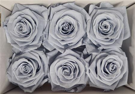 Ro Pres Classic Grey