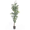 Eucalyptus Tree in Pot Green PP550021GRN