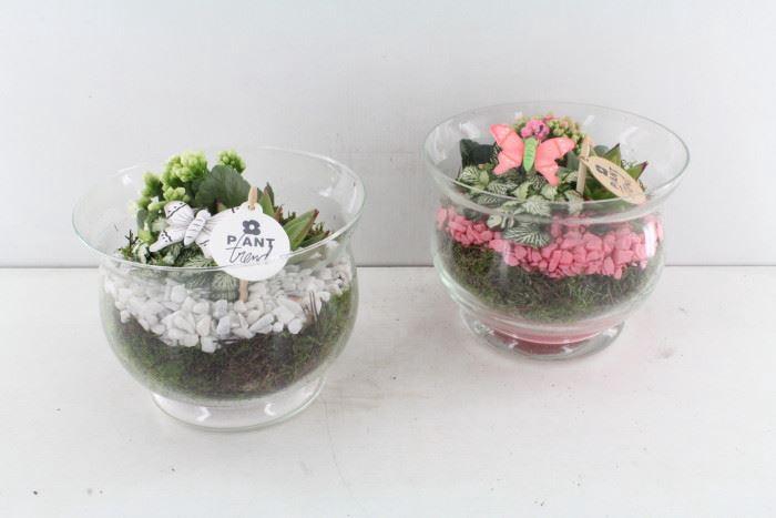 9455 RIO BOKAAL GEEL/WIT