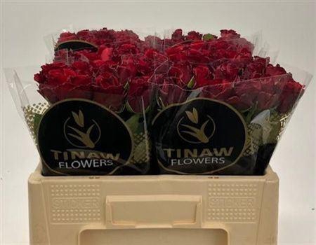 <h4>R Gr Upper Class</h4>