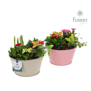 Zinken schaal met div. kleuren met arrangement voorjaar