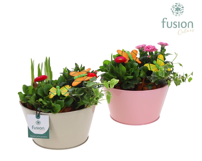 <h4>Zinken schaal met div. kleuren met arrangement voorjaar</h4>