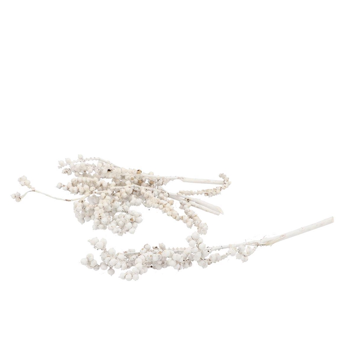 <h4>Pick Nature Canella Misty White P/30</h4>