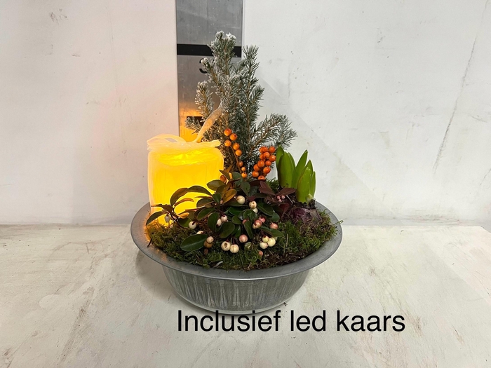 <h4>ARR KERST</h4>