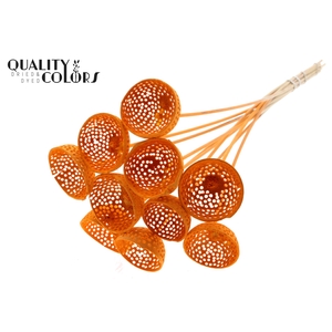 Bell Cup Jali on stem Intense Orange