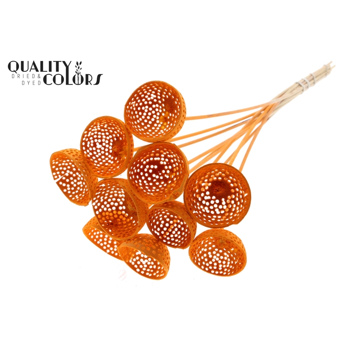 <h4>Bell Cup Jali on stem Intense Orange</h4>