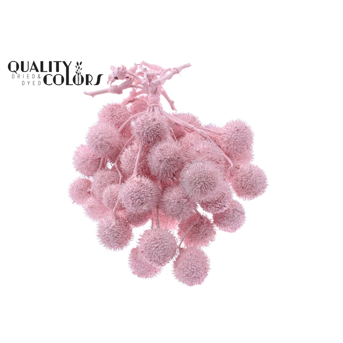 <h4>Small ball per bunch in poly Covered Light Pink</h4>