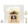 Calla Ivory Art