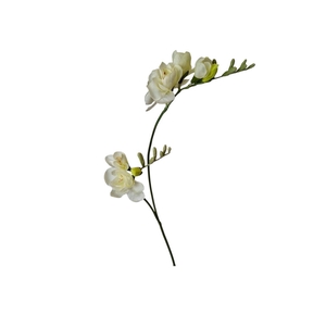 AF Freesia x2 L74cm White