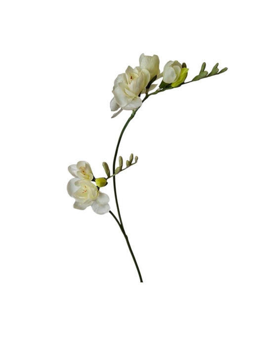 <h4>AF Freesia x2 L74cm White</h4>
