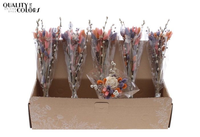 Spring BQT Frosted Milka/Orange