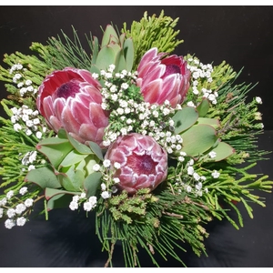 Bqt -  3 Protea Pink Ice Carousel (P/bnch)