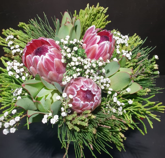 Bqt -  3 Protea Pink Ice Carousel (P/bnch)