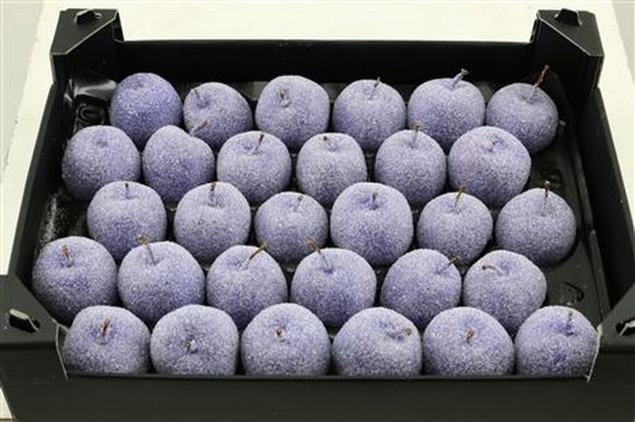 <h4>Waxapple Lavender Diamond</h4>