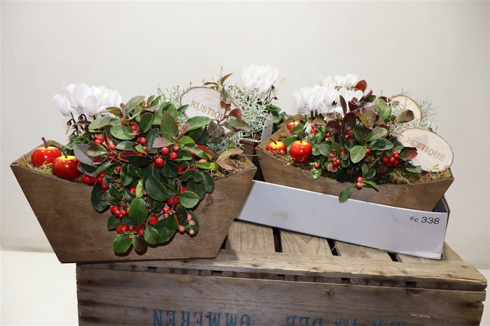 <h4>arr8 Arr Tuinplanten In Houten Kuip</h4>