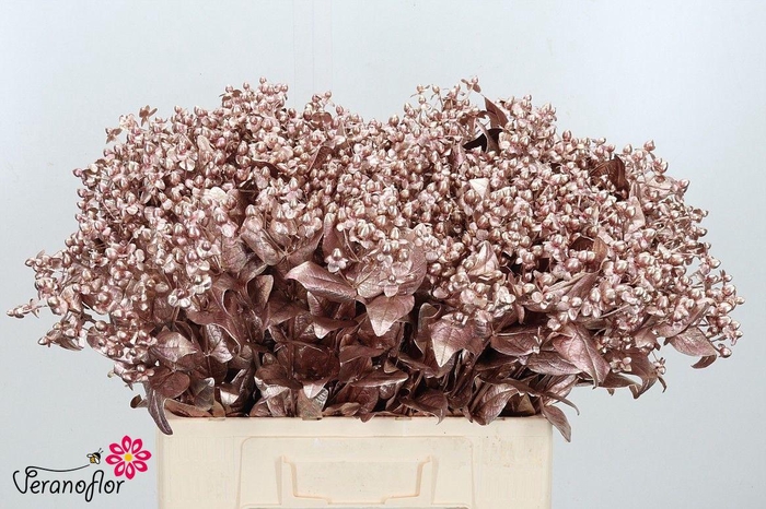 <h4>HYP OV KLB H%</h4>