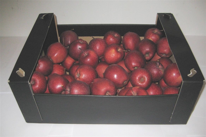 Appels Rood 5 Kg