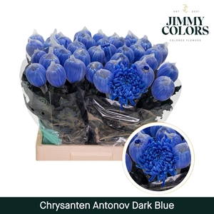 Chr G Antonov Dark blue