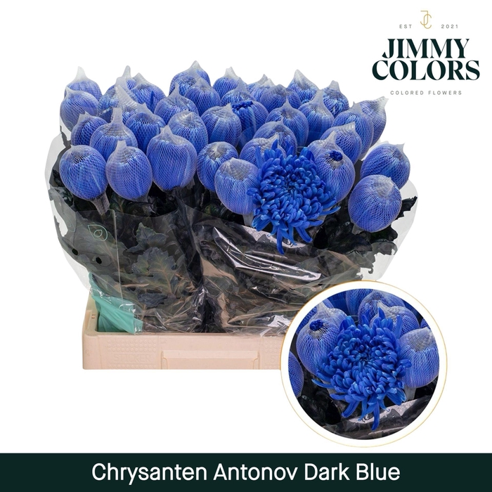 <h4>Chr G Antonov Dark blue</h4>