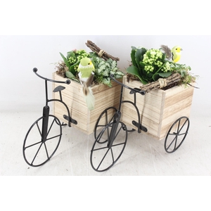 arr2 TD - Driewieler - roze/wit