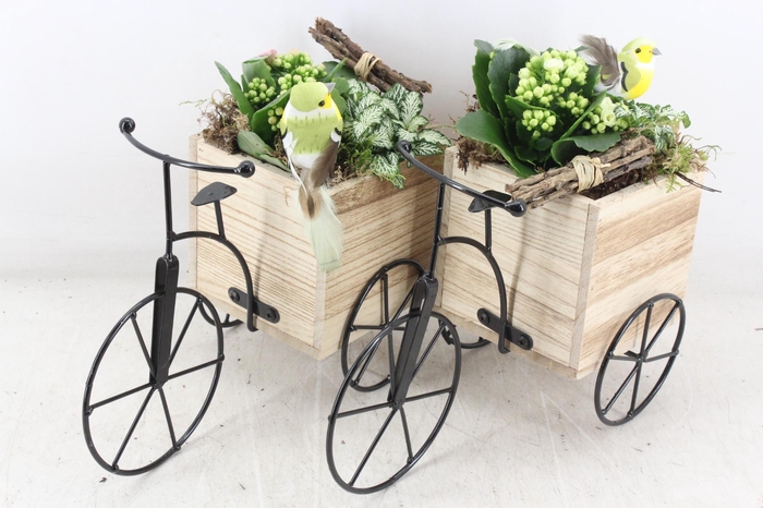 <h4>arr2 TD - Driewieler - roze/wit</h4>