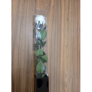 Ro Pres Stem White