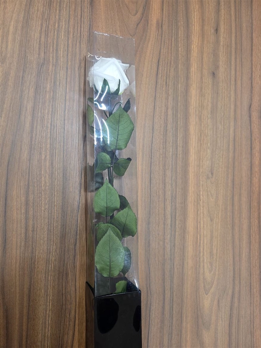 Ro Pres Stem 50cm White