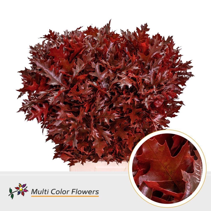 <h4>Quercus rubra colored RED</h4>