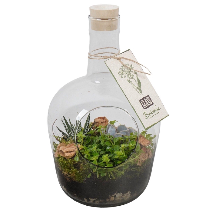 <h4>PTGIG2145 Arrangement Greens in glass in glazen fles</h4>