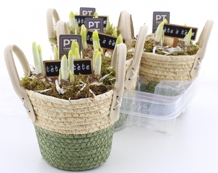 <h4>ARR N TETE A TETE</h4>