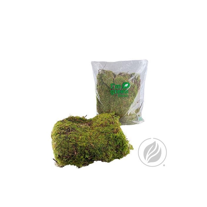 <h4>PLATMOS BIO BAGS</h4>