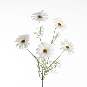 AF Leucanthemum x5 L80cm White