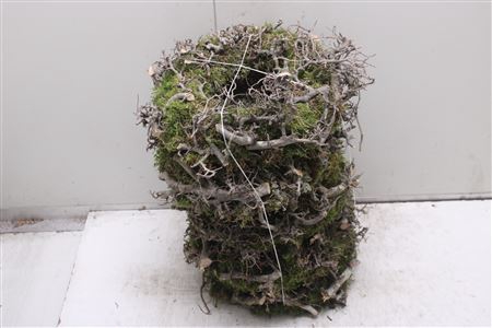 <h4>Krans Bonzai Moss 30cm</h4>