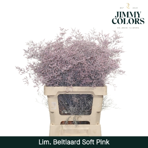 <h4>Lim Bel L70 Soft pink</h4>