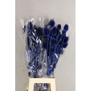 DF Dipsacus Dark Blue Bs 130g