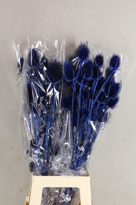 DF Dipsacus Dark Blue Bs 130g