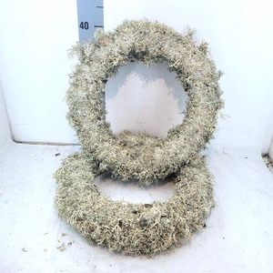 HUIS EN TUINDECO OV KRANS LARIX 40 CM