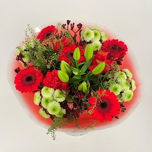 Bq Volume Voltage Red L