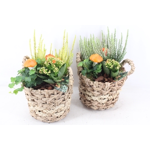 arr4 Outdoor MB - Gevlochten mand x3