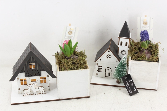 <h4>arr4 Hyacint FL - Cozy village LED</h4>