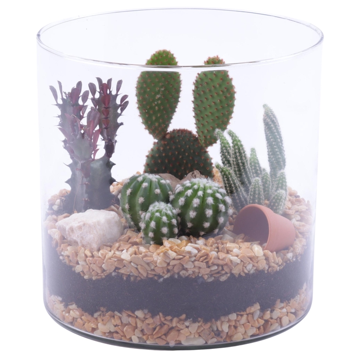 <h4>Yearround Arr. Cactus Glass Vase Cylinder Ø19cm 4PP</h4>