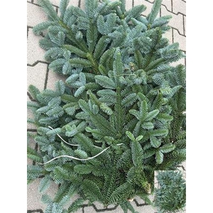 Abies Nob Blauw Kilo