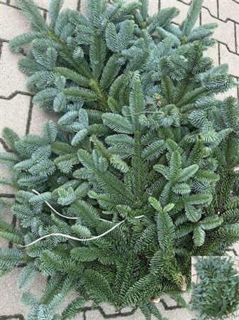 <h4>Abies Nob Blauw Kilo</h4>