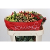 Hypericum Rainbow Romance Spray