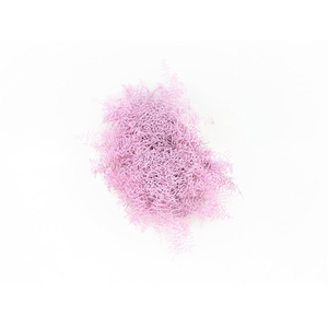 Koraalvaren Verf Rosé Goud