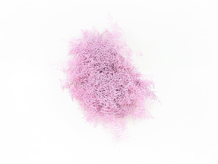 <h4>Koraalvaren Verf Rosé Goud</h4>