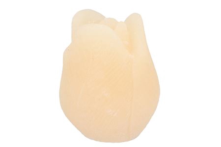 <h4>Candle Tulip Ivory 10x13cm Nm</h4>