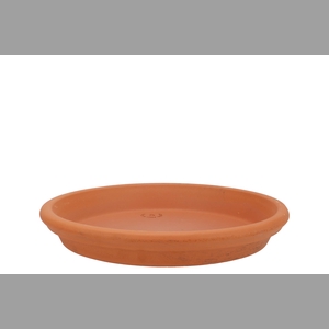 Terracotta Waterdish D23xh4cm