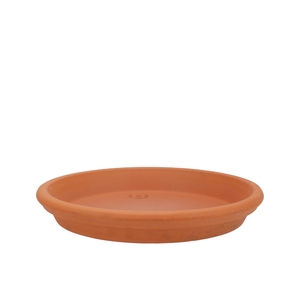 Terracotta Waterdish D23xh4cm