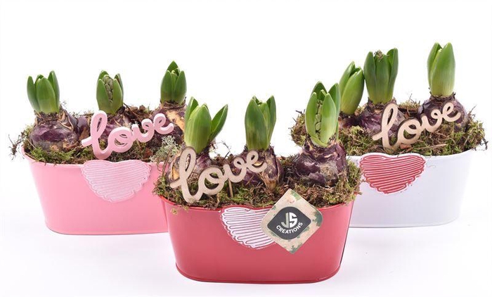 <h4>Zink met hart mix 19x10cm</h4>